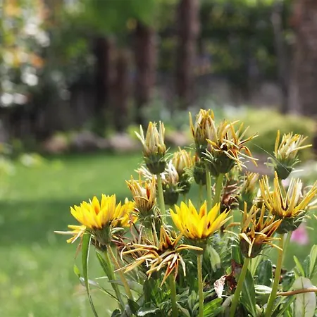 بيت ضيافة Mi Casa 3*