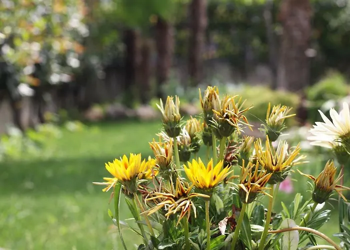 Πανσιόν Mi Casa 3*